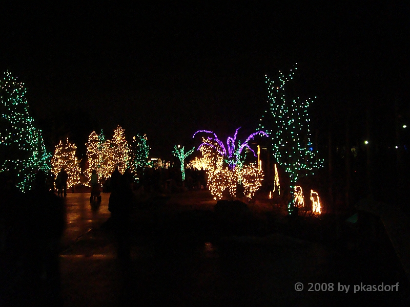 008 Toledo Zoo Light Show [2008 Dec 27].JPG - Scenes from the Toledo Zoo Light Show.